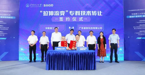 知識產權質押融資賦能技術轉讓，金融力量驅動創新發展